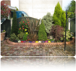 Exterior Garden and Office Planting Nottingham and Derby