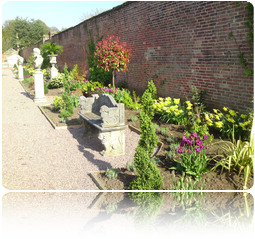 Exterior Garden and Office Planting Nottingham and Derby