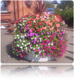 Exterior Garden and Office Planting Nottingham and Derby