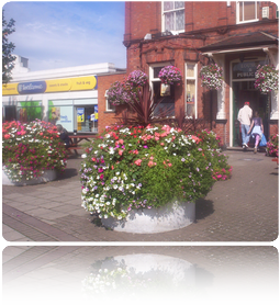 Exterior Garden and Office Planting Nottingham and Derby